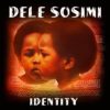 Dele Sosimi, Identity Album